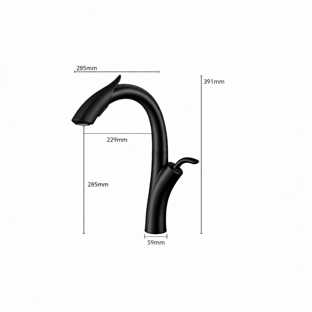 Robinet évier cuisine design flexible douchette - Noir - Laiton