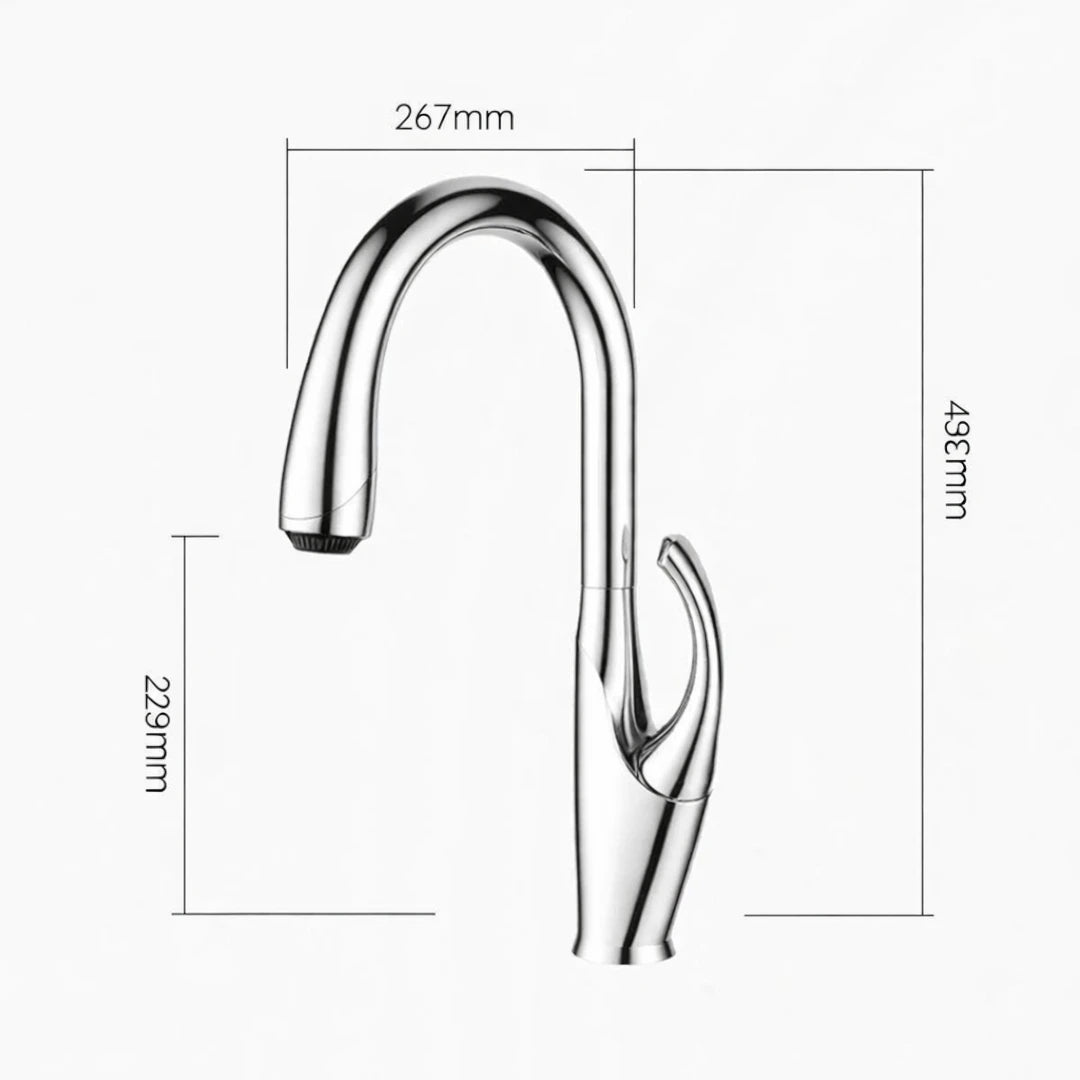 Robinet évier cuisine design moderne flexible douchette - Argenté - Laiton