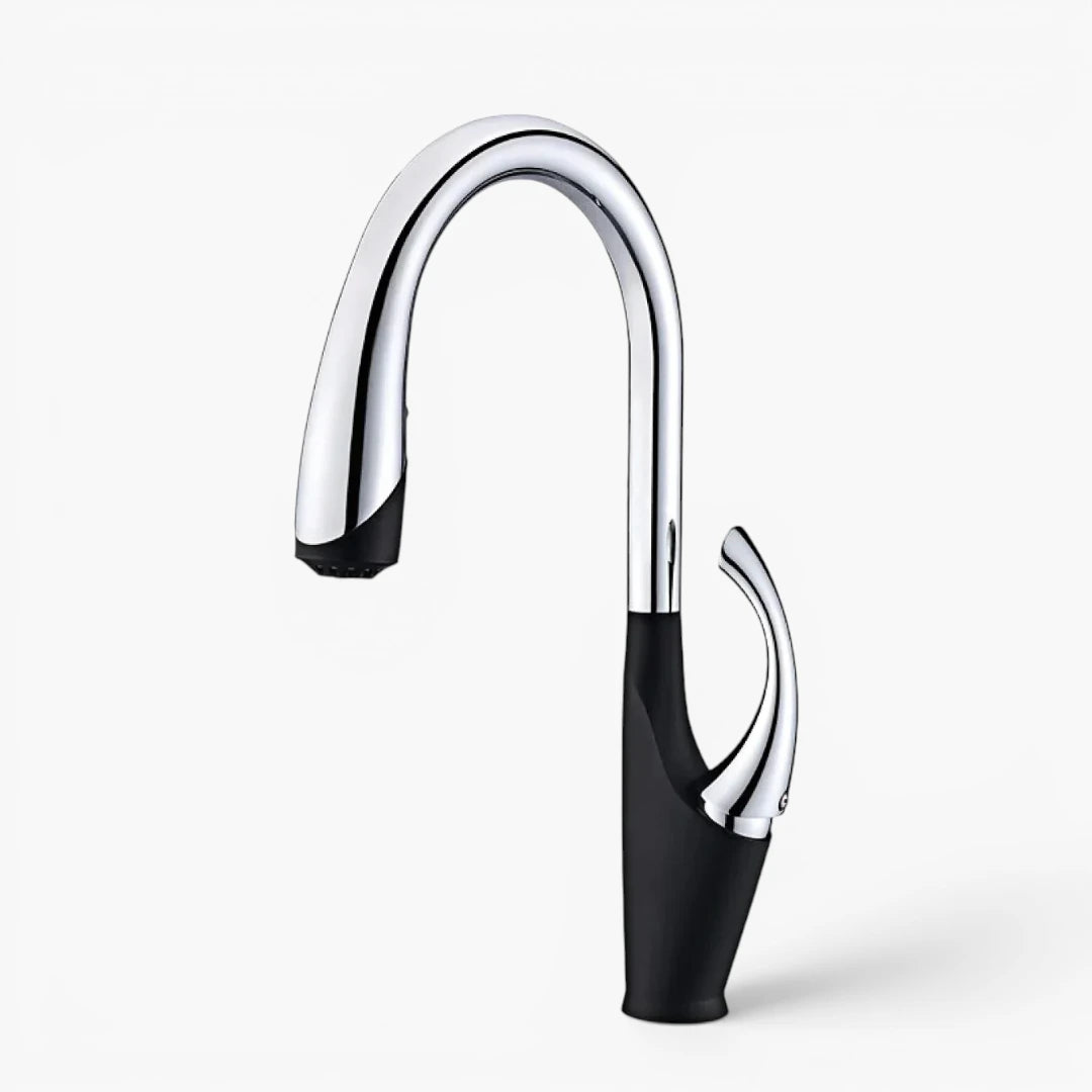 Robinet évier cuisine design moderne flexible douchette - Noir / Argenté - Laiton