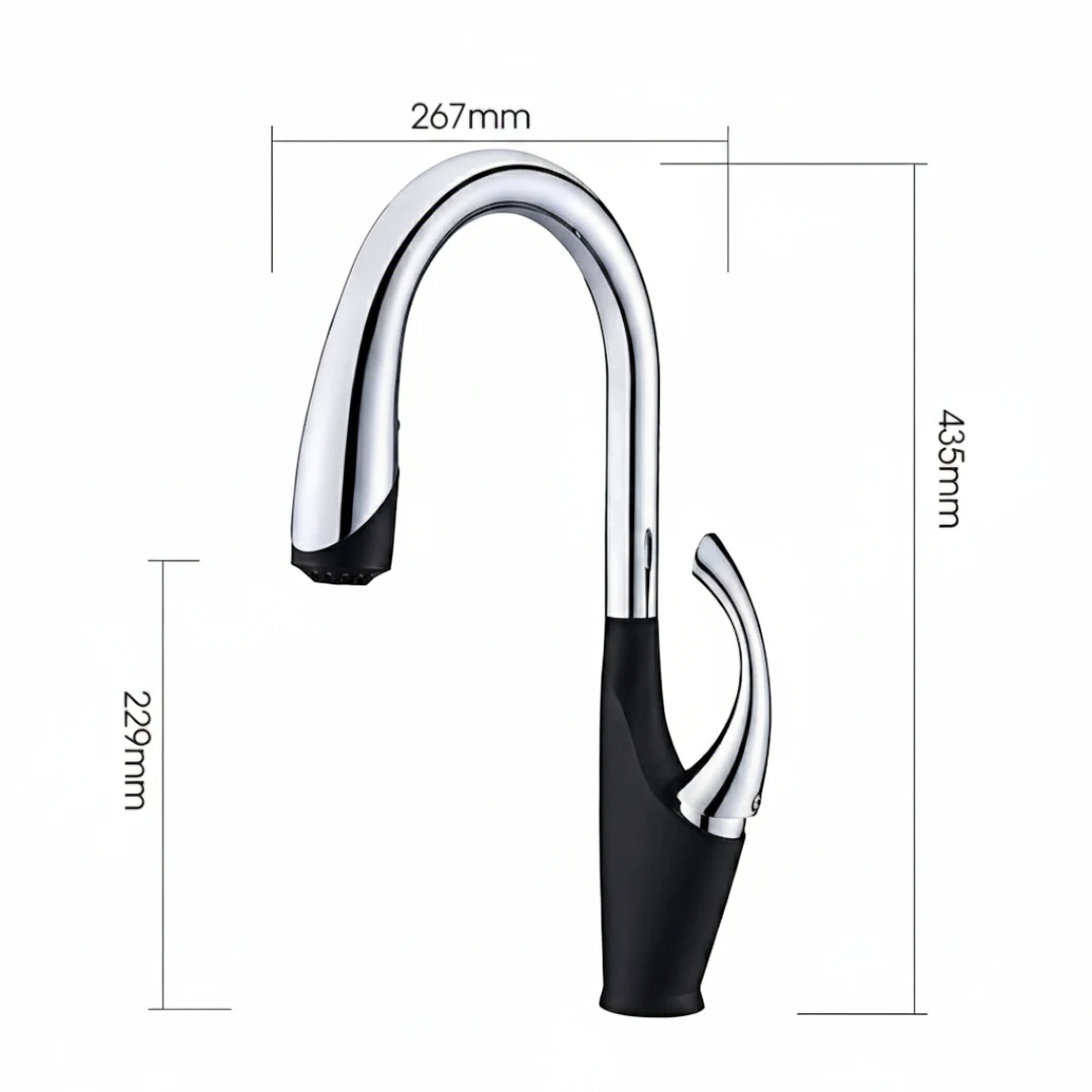 Robinet évier cuisine design moderne flexible douchette - Noir / Argenté - Laiton