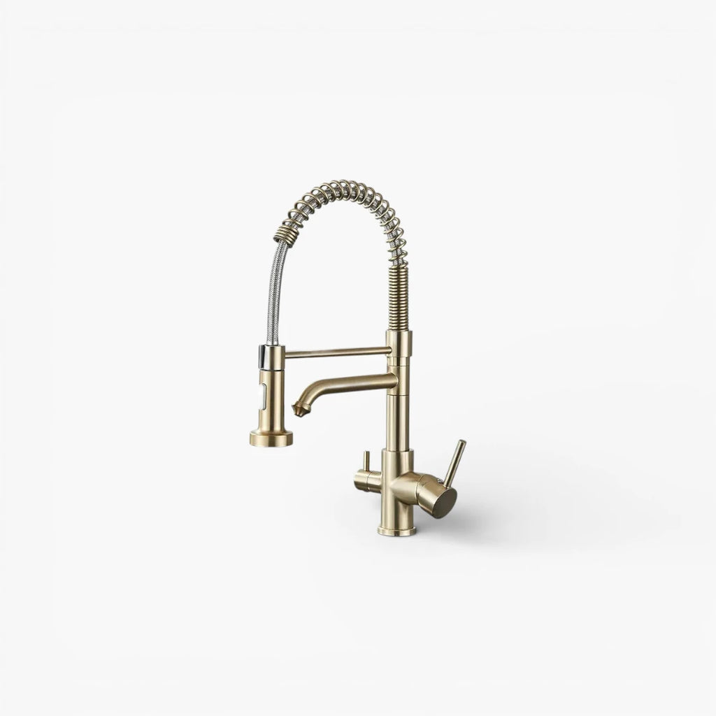 Robinet évier cuisine mitigeur douchette purificateur d'eau - Doré - Laiton