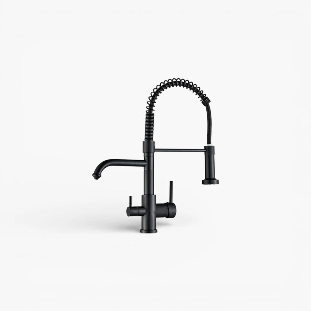 Robinet évier cuisine mitigeur douchette purificateur d'eau - Noir - Laiton