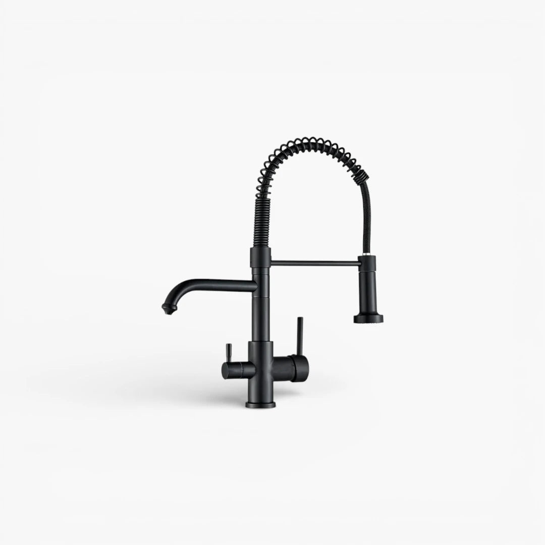 Robinet évier cuisine mitigeur douchette purificateur d'eau - Noir - Laiton