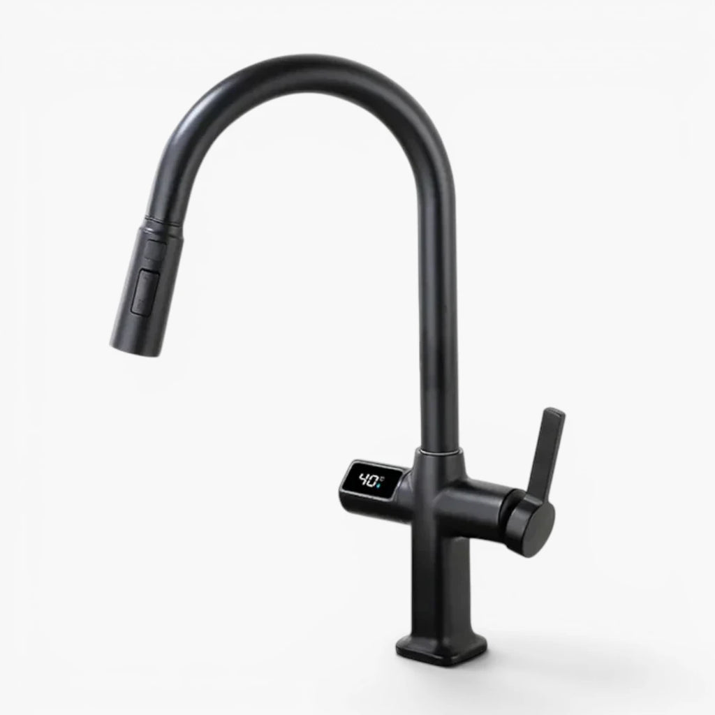 Robinet évier cuisine thermostatique affichage numérique flexible douchette - Noir - Laiton