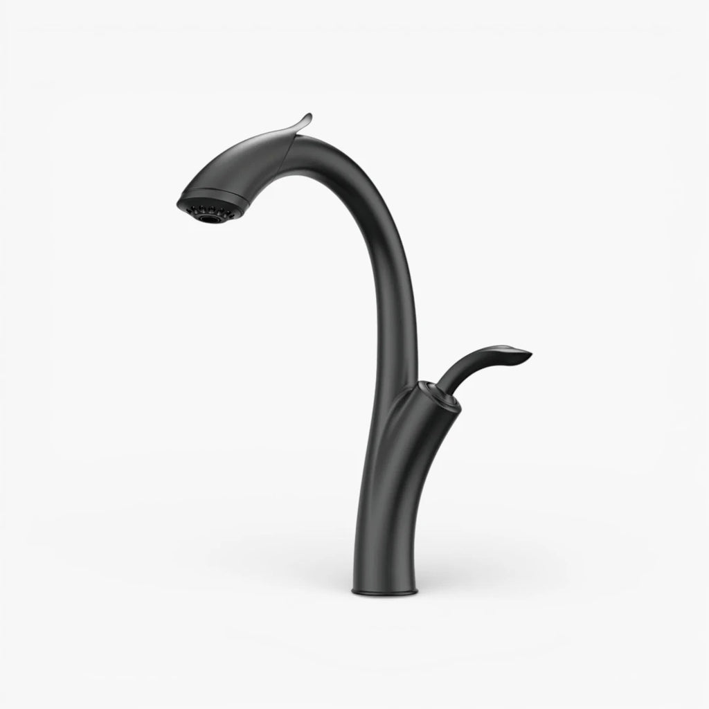 Robinet évier cuisine design flexible douchette - Noir - Laiton