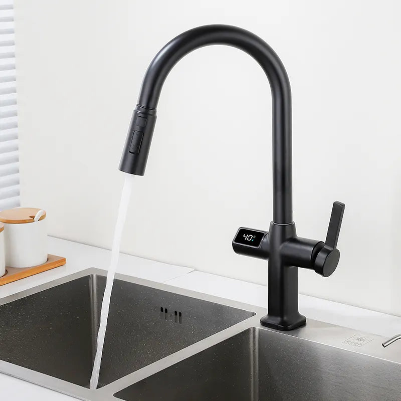 Robinet évier cuisine thermostatique affichage numérique flexible douchette - Noir - Laiton