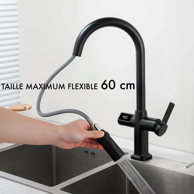 Robinet évier cuisine thermostatique affichage numérique flexible douchette - Noir - Laiton