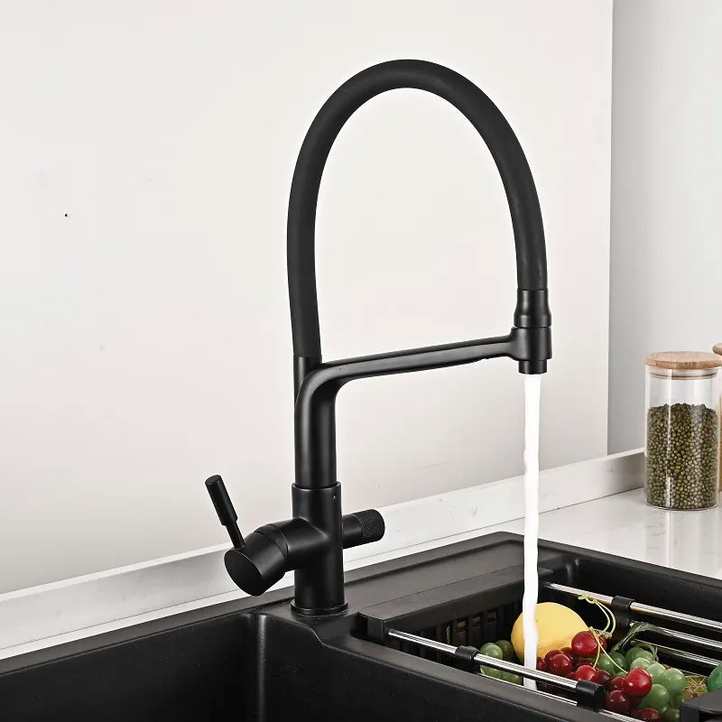 Robinet cuisine évier flexible double robinet purificateur d'eau - Noir - Laiton