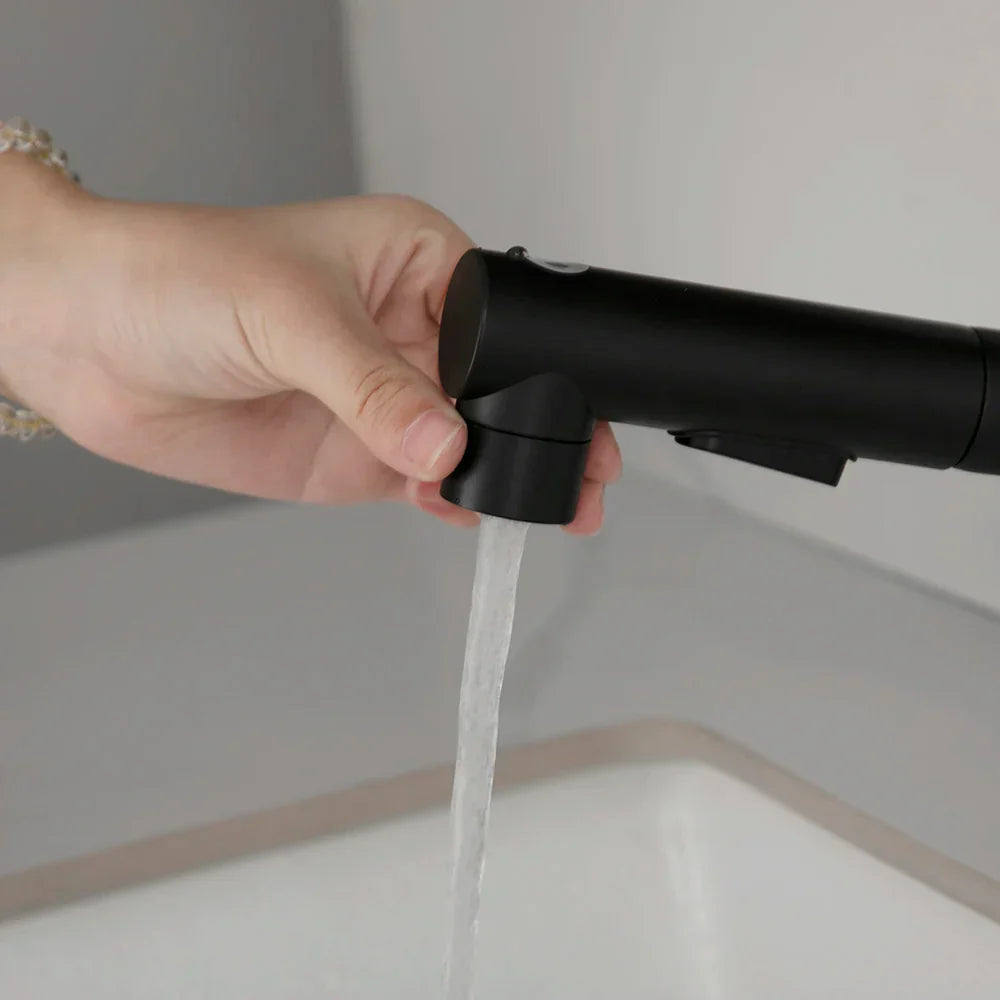 Robinet lavabo salle de bain deux jets - Noir - Laiton