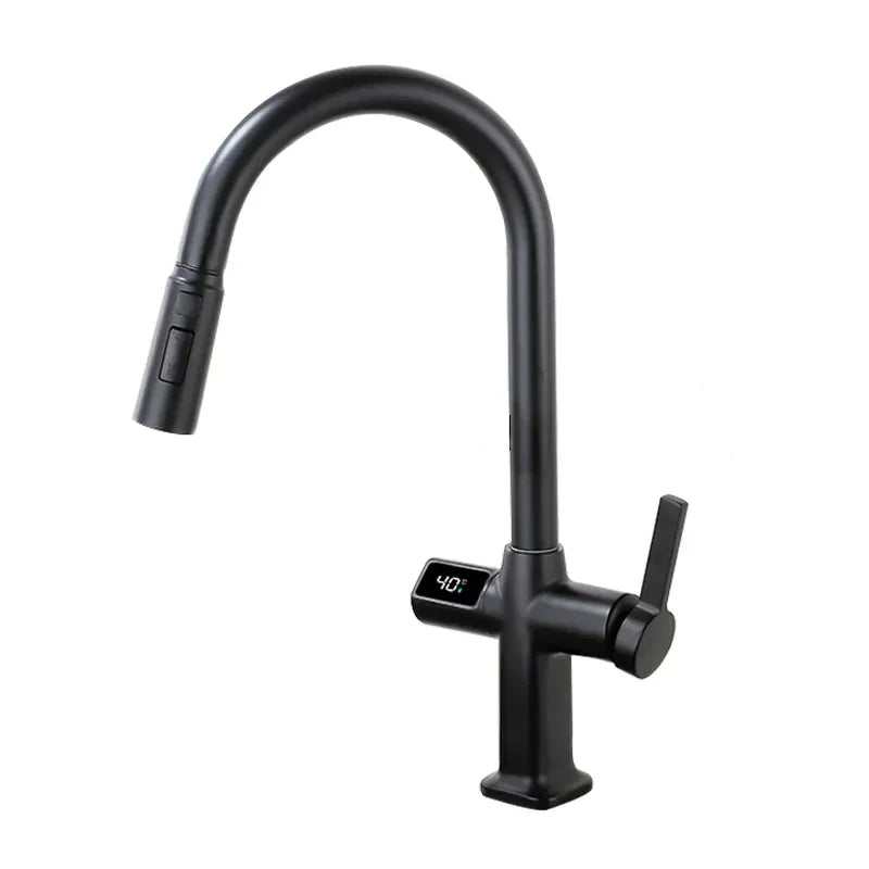 Robinet évier cuisine thermostatique affichage numérique flexible douchette - Noir - Laiton