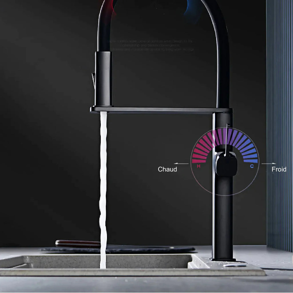 Robinet évier cuisine flexible noir douchette magnétique - Noir - Laiton