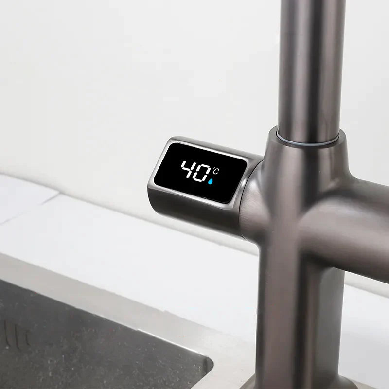 Robinet évier cuisine thermostatique affichage numérique flexible douchette - Argenté - Laiton
