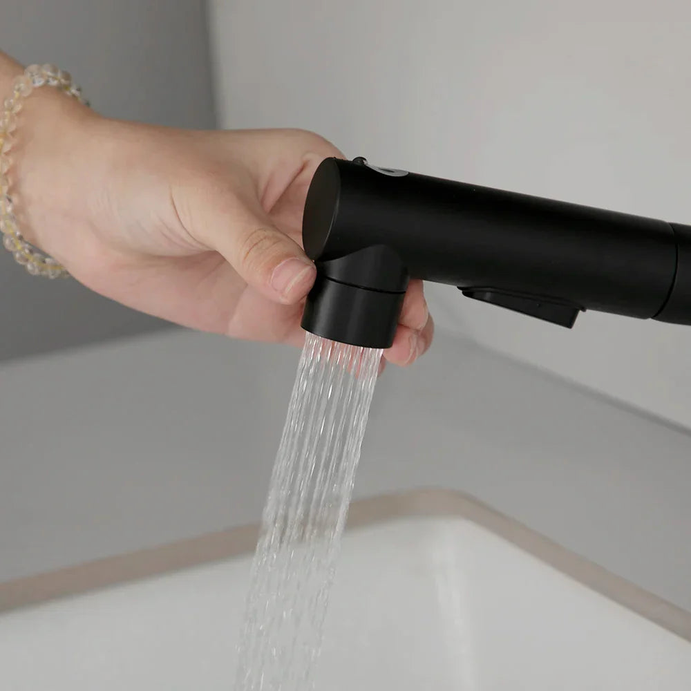 Robinet lavabo salle de bain deux jets - Noir - Laiton