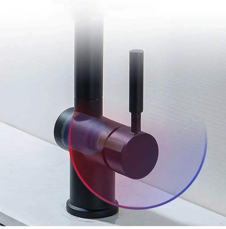 Robinet évier cuisine minimaliste flexible rétractable douchette - Noir