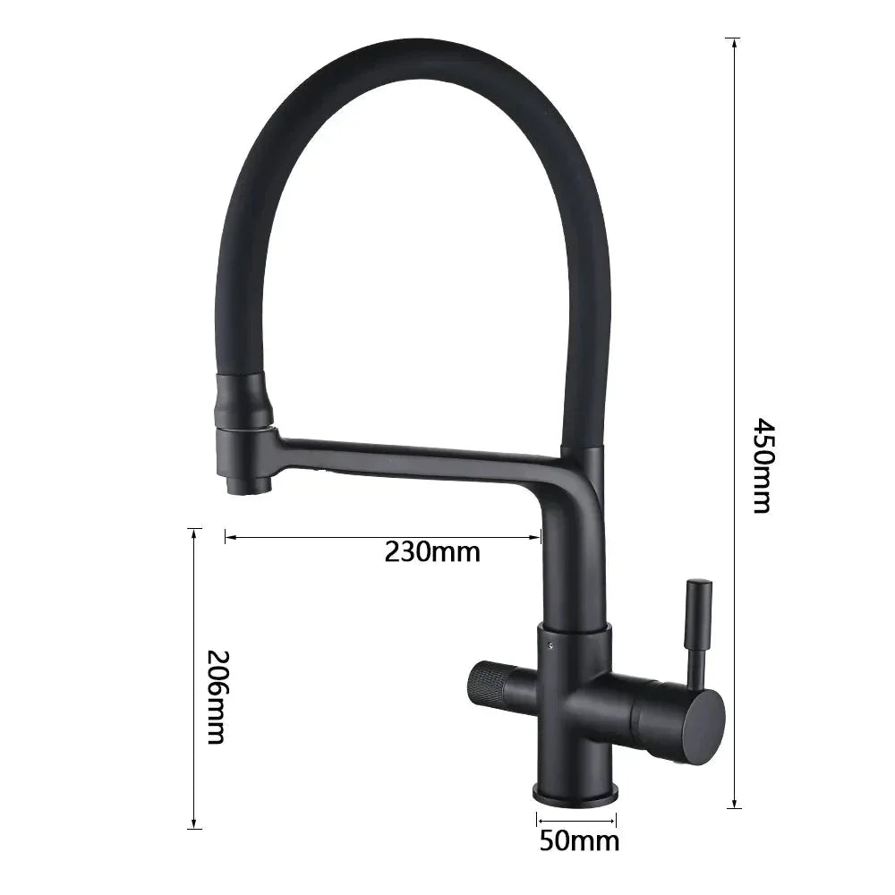 Robinet cuisine évier flexible double robinet purificateur d'eau - Noir - Laiton