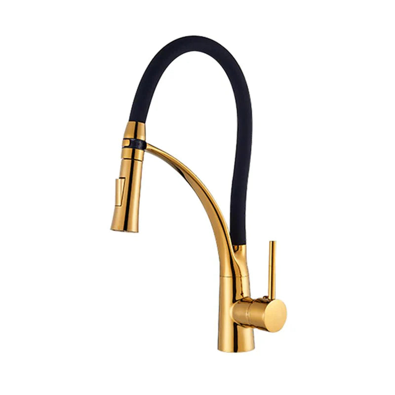 Robinet évier cuisine tuyau noir douchette mitigeur - Doré - Laiton