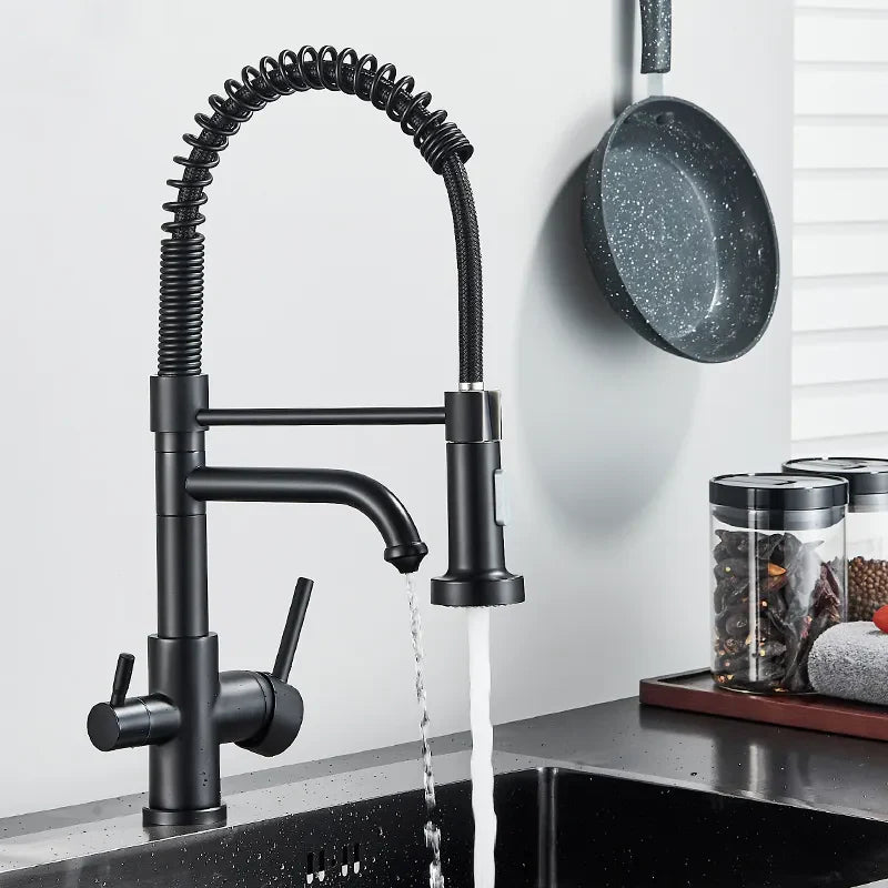 Robinet évier cuisine mitigeur douchette purificateur d'eau - Noir - Laiton