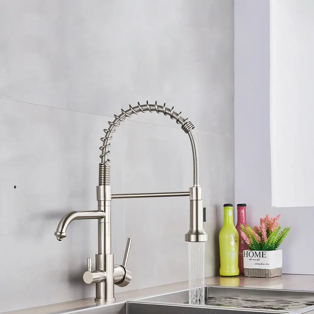 Robinet évier cuisine mitigeur douchette purificateur d'eau - Argenté - Laiton