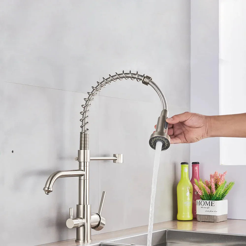 Robinet évier cuisine mitigeur douchette purificateur d'eau - Argenté - Laiton