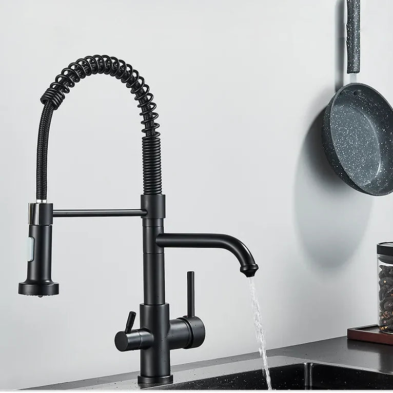 Robinet évier cuisine mitigeur douchette purificateur d'eau - Noir - Laiton
