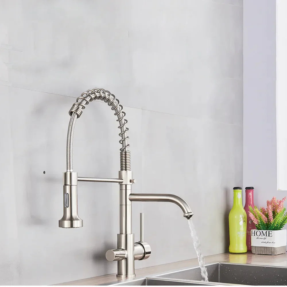 Robinet évier cuisine mitigeur douchette purificateur d'eau - Argenté - Laiton