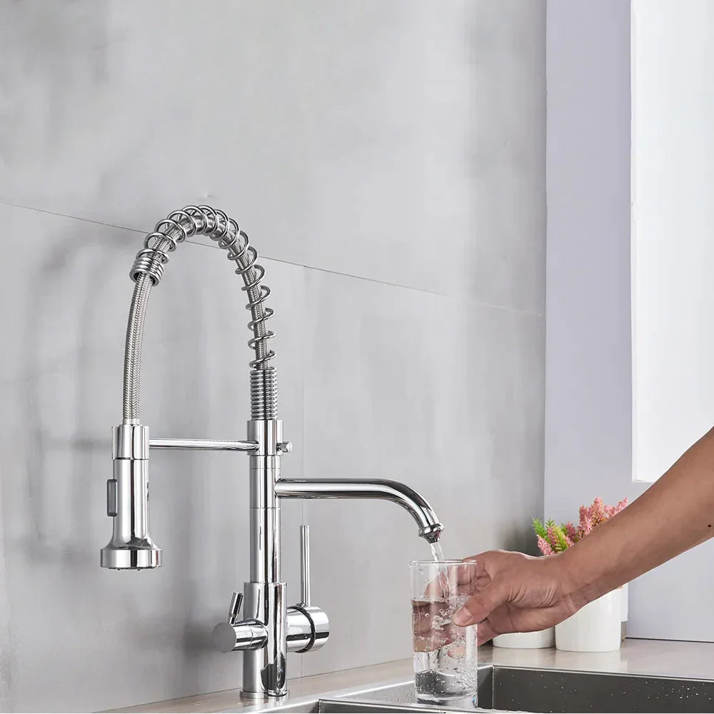 Robinet évier cuisine mitigeur douchette purificateur d'eau - Argenté - Laiton