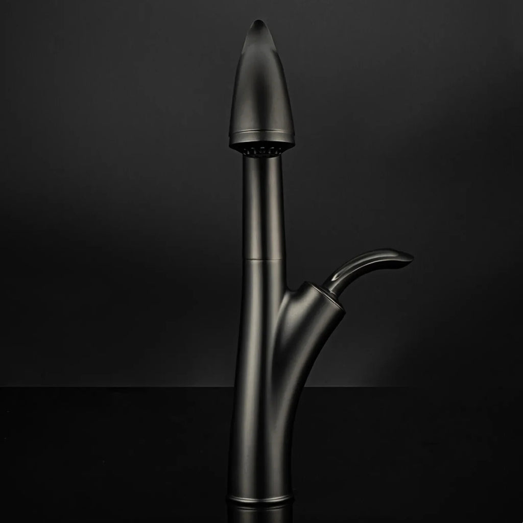 Robinet évier cuisine design flexible douchette - Noir - Laiton