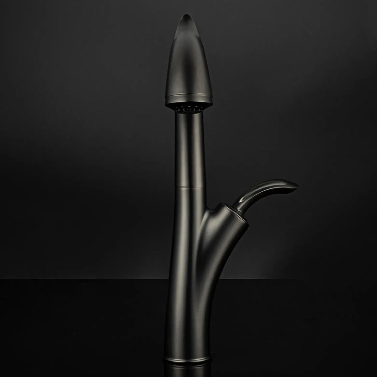 Robinet évier cuisine design flexible douchette - Noir - Laiton
