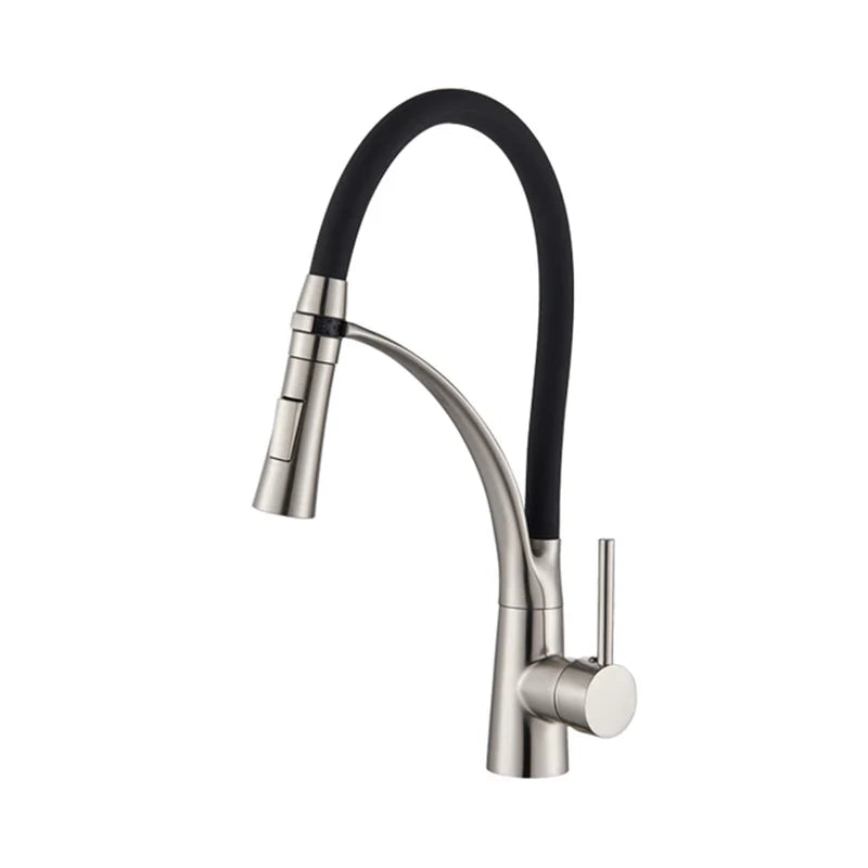 Robinet évier cuisine tuyau noir douchette mitigeur - Argenté - Laiton