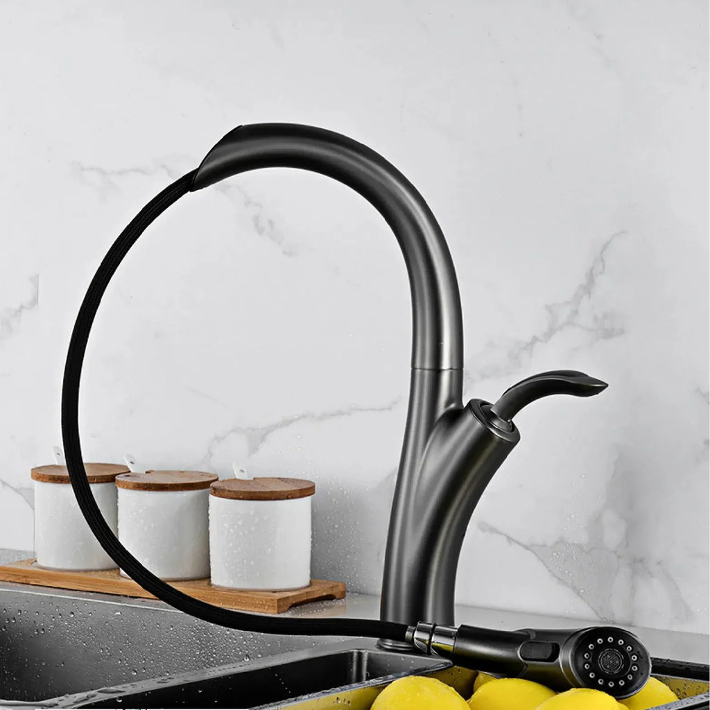 Robinet évier cuisine design flexible douchette - Argenté - Laiton