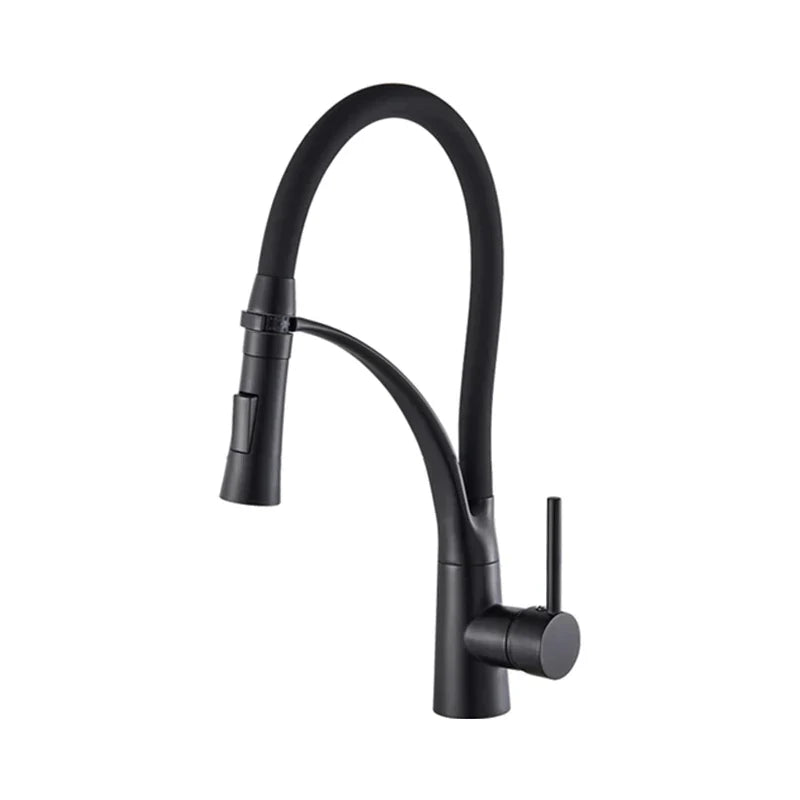 Robinet évier cuisine tuyau noir douchette mitigeur - Noir - Laiton