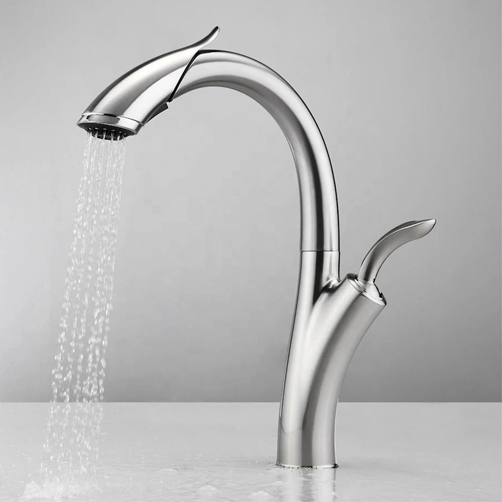 Robinet évier cuisine design flexible douchette - Argenté - Laiton