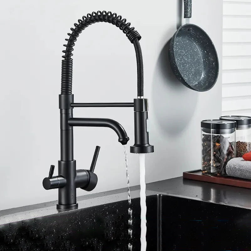 Robinet évier cuisine mitigeur douchette purificateur d'eau - Noir - Laiton