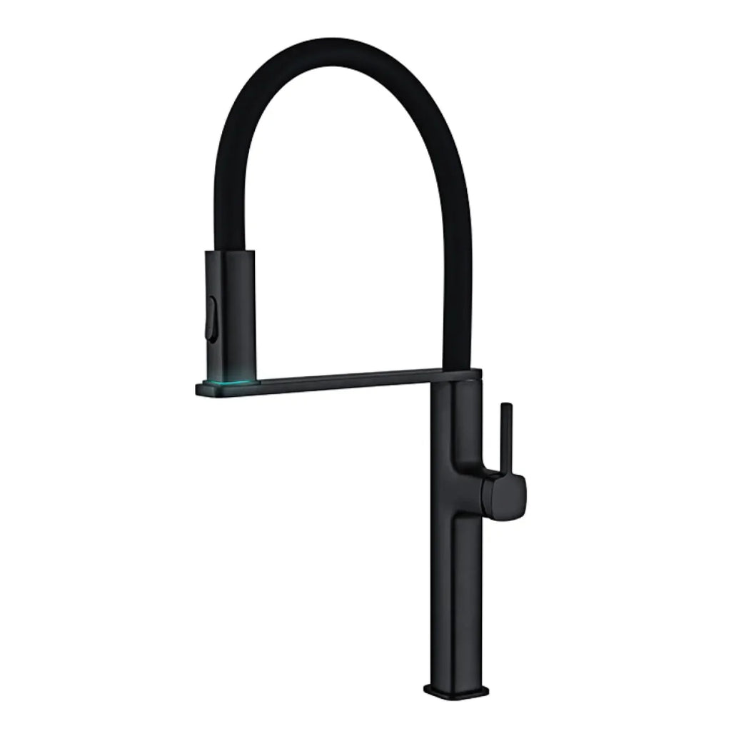 Robinet évier cuisine flexible noir douchette magnétique - Noir - Laiton