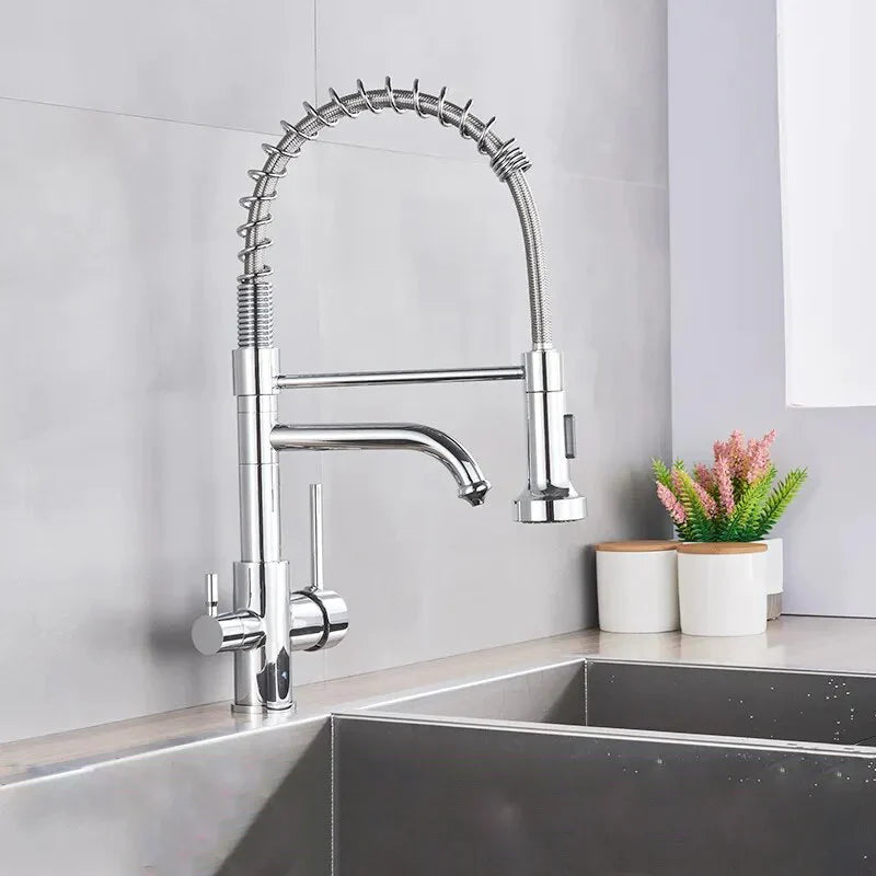 Robinet évier cuisine mitigeur douchette purificateur d'eau - Argenté - Laiton