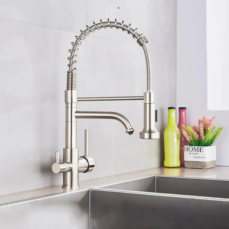 Robinet évier cuisine mitigeur douchette purificateur d'eau - Argenté - Laiton