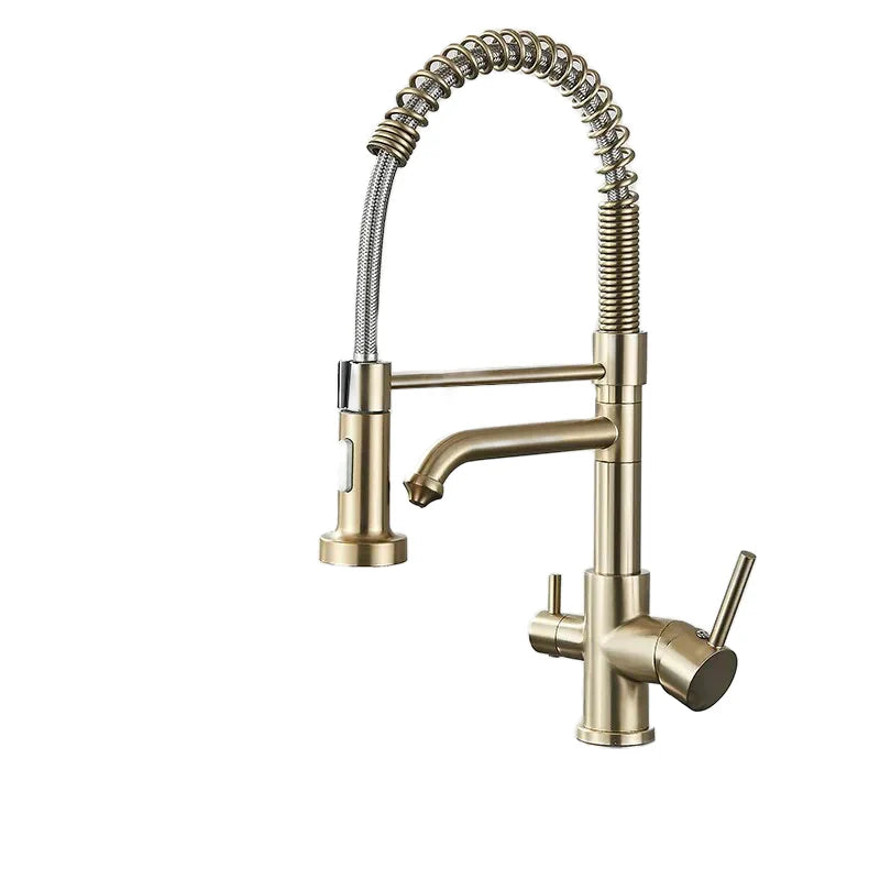 Robinet évier cuisine mitigeur douchette purificateur d'eau - Doré - Laiton