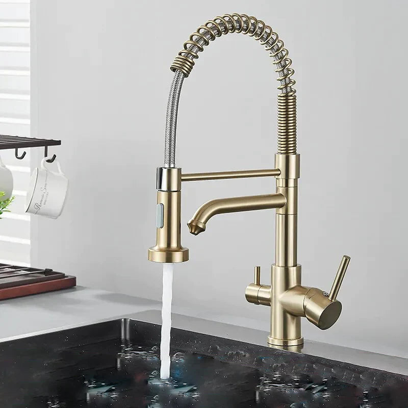 Robinet évier cuisine mitigeur douchette purificateur d'eau - Doré - Laiton